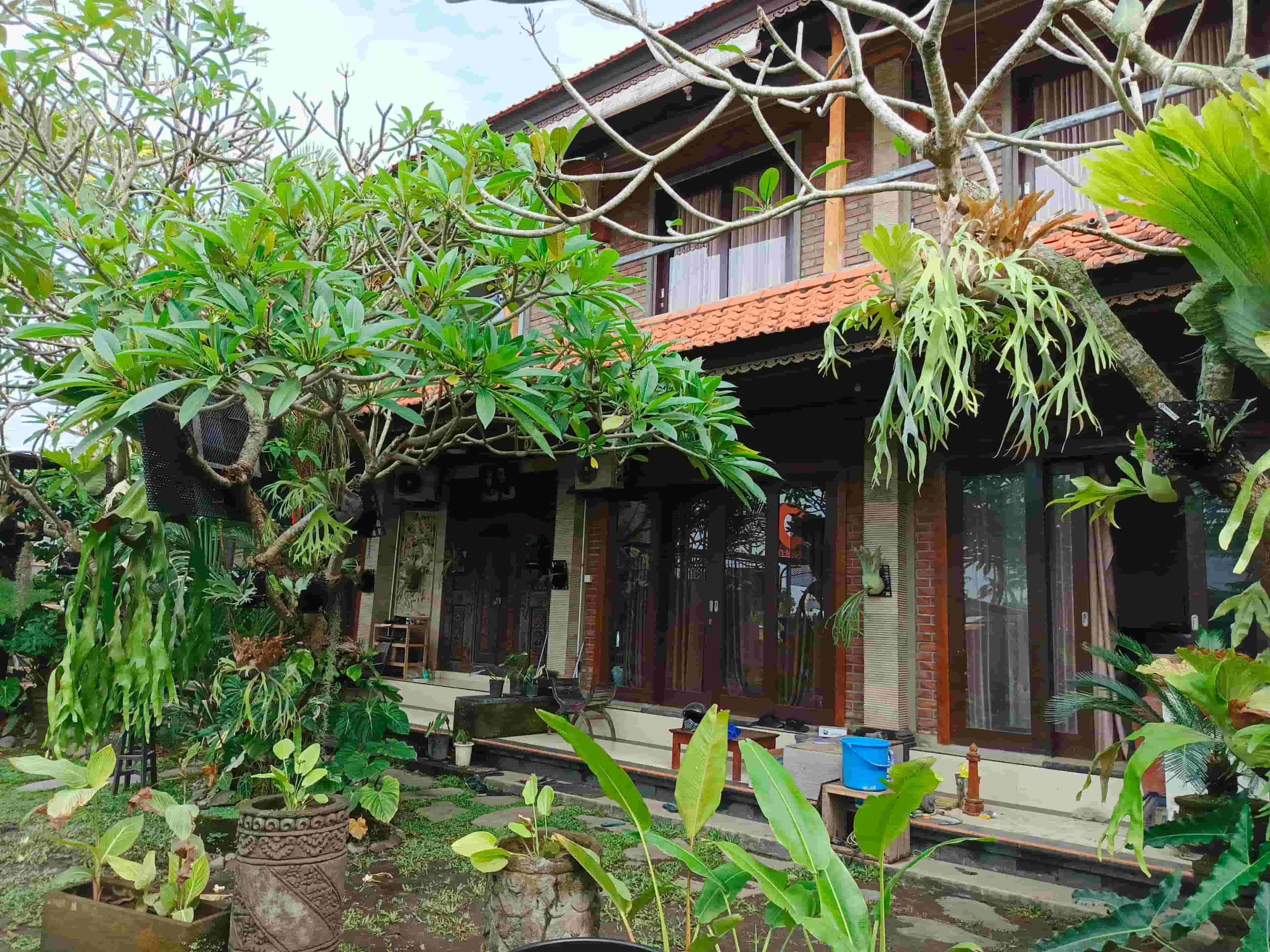 Spacious 10-Bedroom Homestay for Rent in Seseh, Canggu - An Ideal Investment Near the Beach