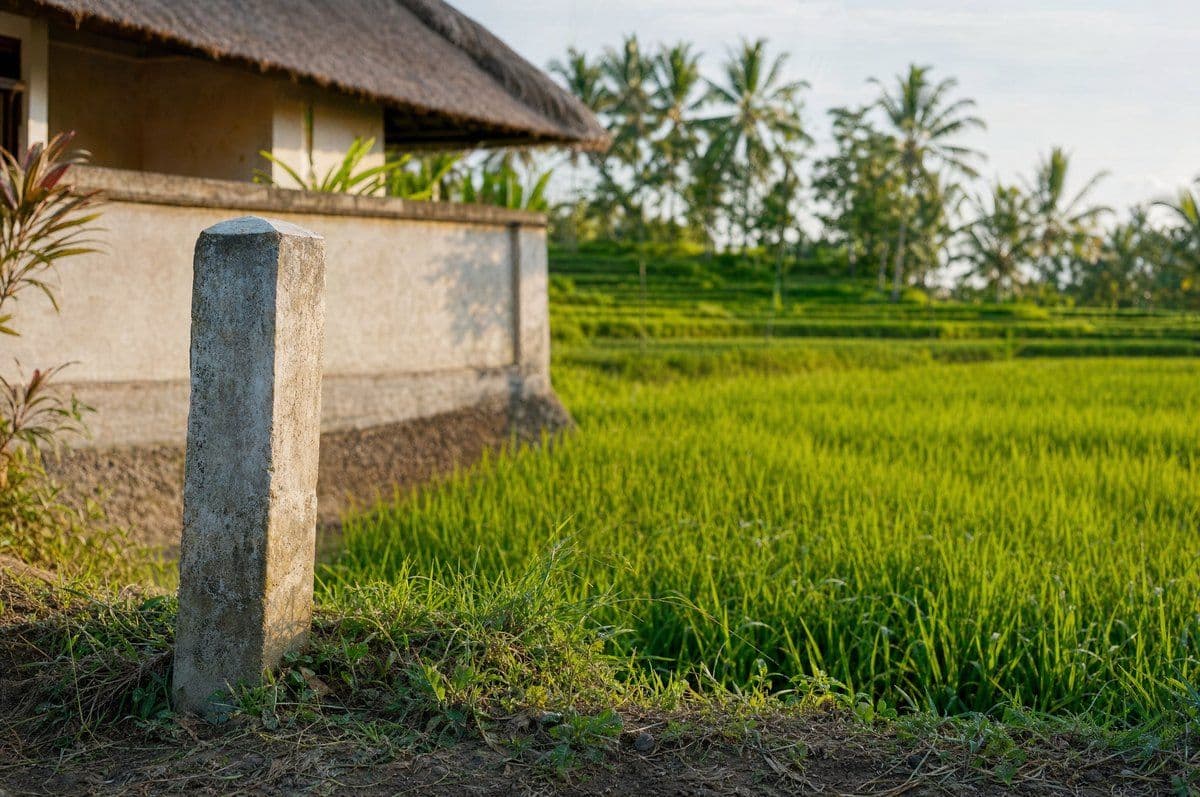 A concrete land boundary marker at the edge of a Bali rice terrace, with a walled villa compound behind it