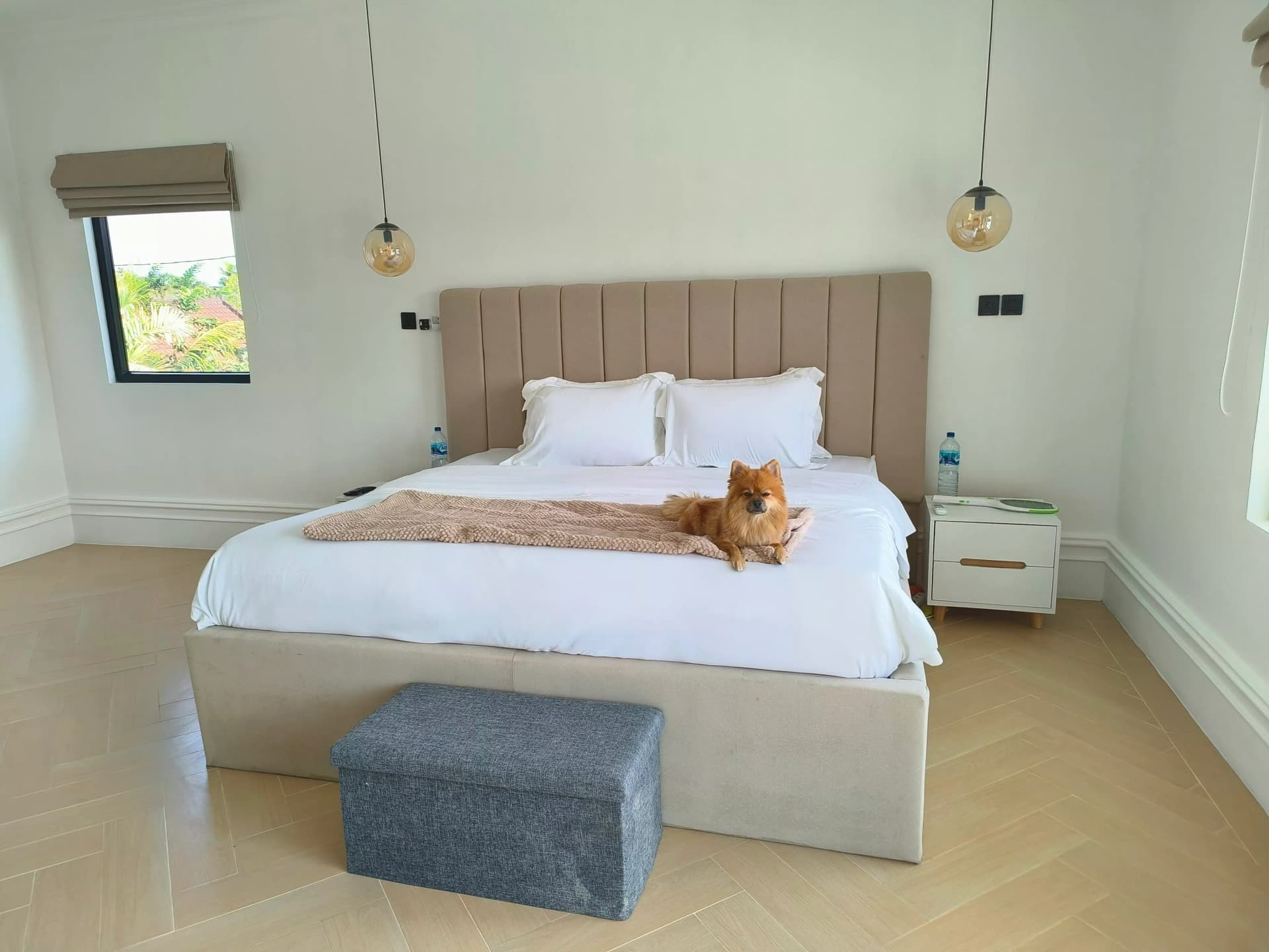 Modern 4-Bedroom Family Villa for Rent in Umalas – Where Comfort Meets Community, foto 3