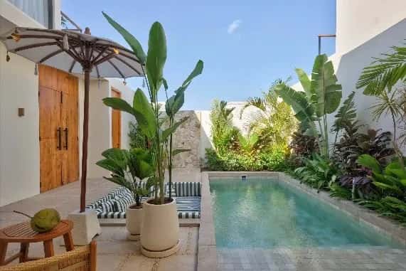 3-Bedroom Newly Built Villa Near Kedungu Beach, Tabanan 3-Bedroom Newly Built Villa Near Kedungu Beach, Tabanan